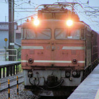 1073 EF81 2q