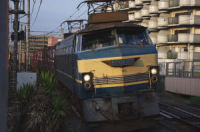 7090レ EF66 27
